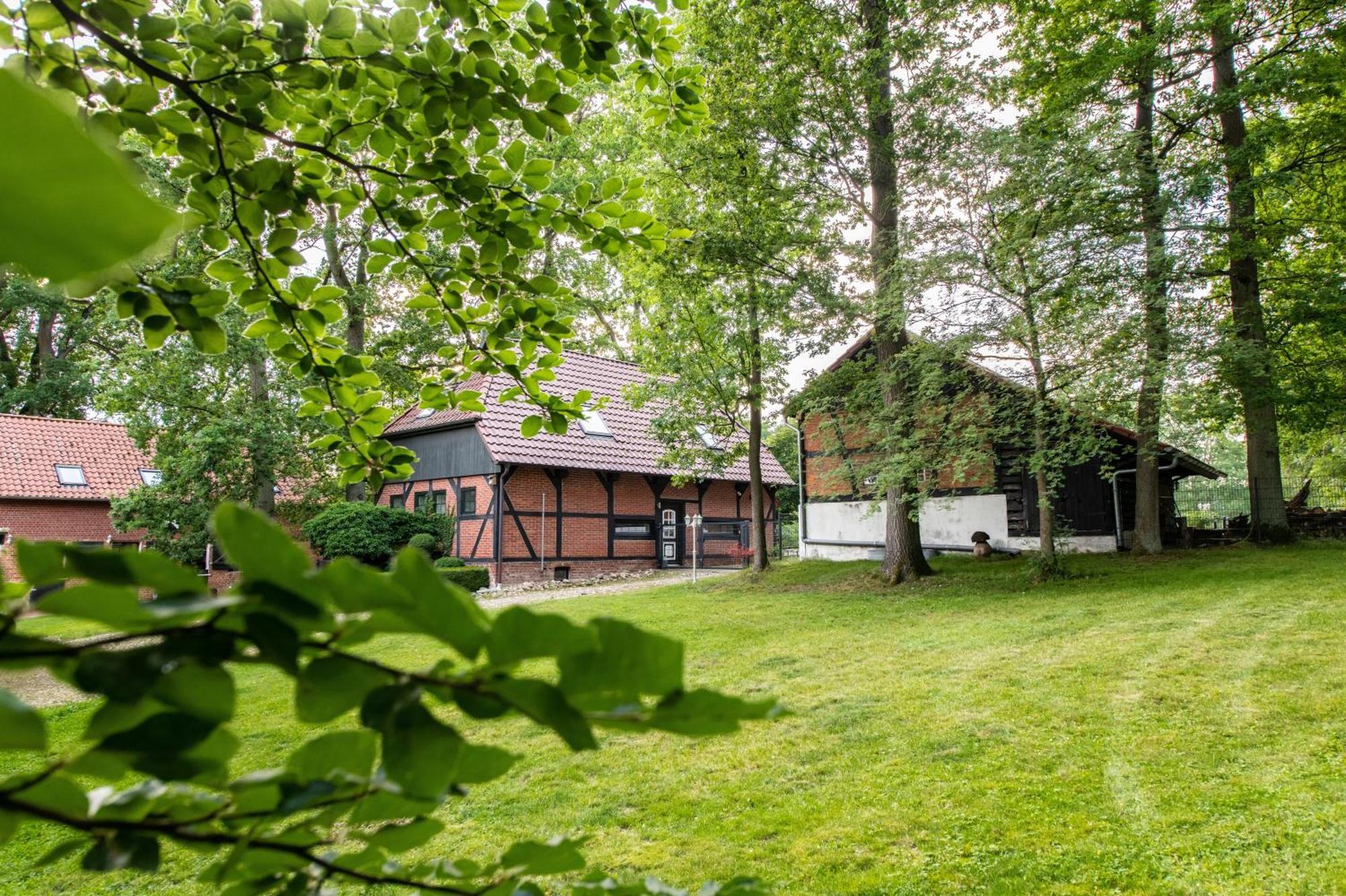 Traumferienwohnung in der Lüneburger Heide Soltau Exterior foto