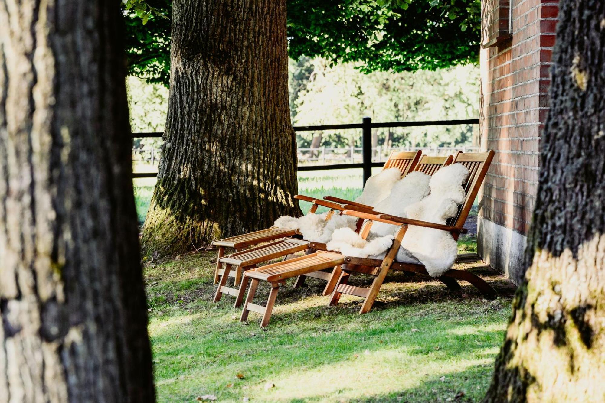 Traumferienwohnung in der Lüneburger Heide Soltau Exterior foto